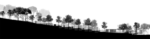 Atelier mosségimmig - Cimetière, Ceyreste